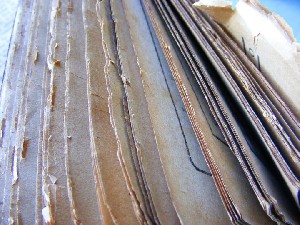 biblioteca 247 copy.jpg